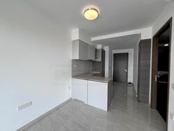 The Florence Residences (D19), Apartment #636955091